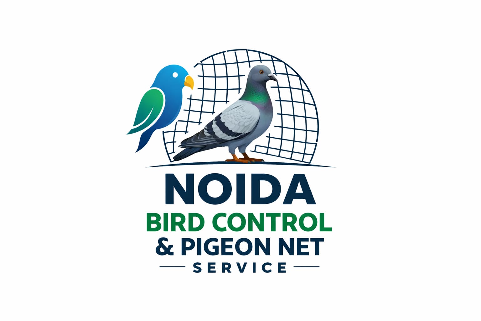 Gaurav Pigeon Net Kabutar Jali Noida